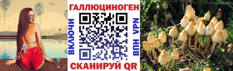 Галлюциногенные грибы Cubensis  Белоозёрский 